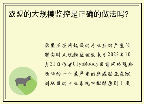 欧盟的大规模监控是正确的做法吗？